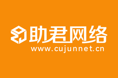 2025年國內十家優秀網站建設公司全新排名 聚焦標桿服務商與上海網頁開發